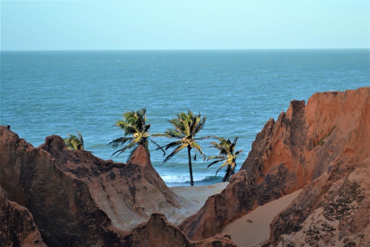 Falésias de areia colorida e coqueiros em Morro Branco